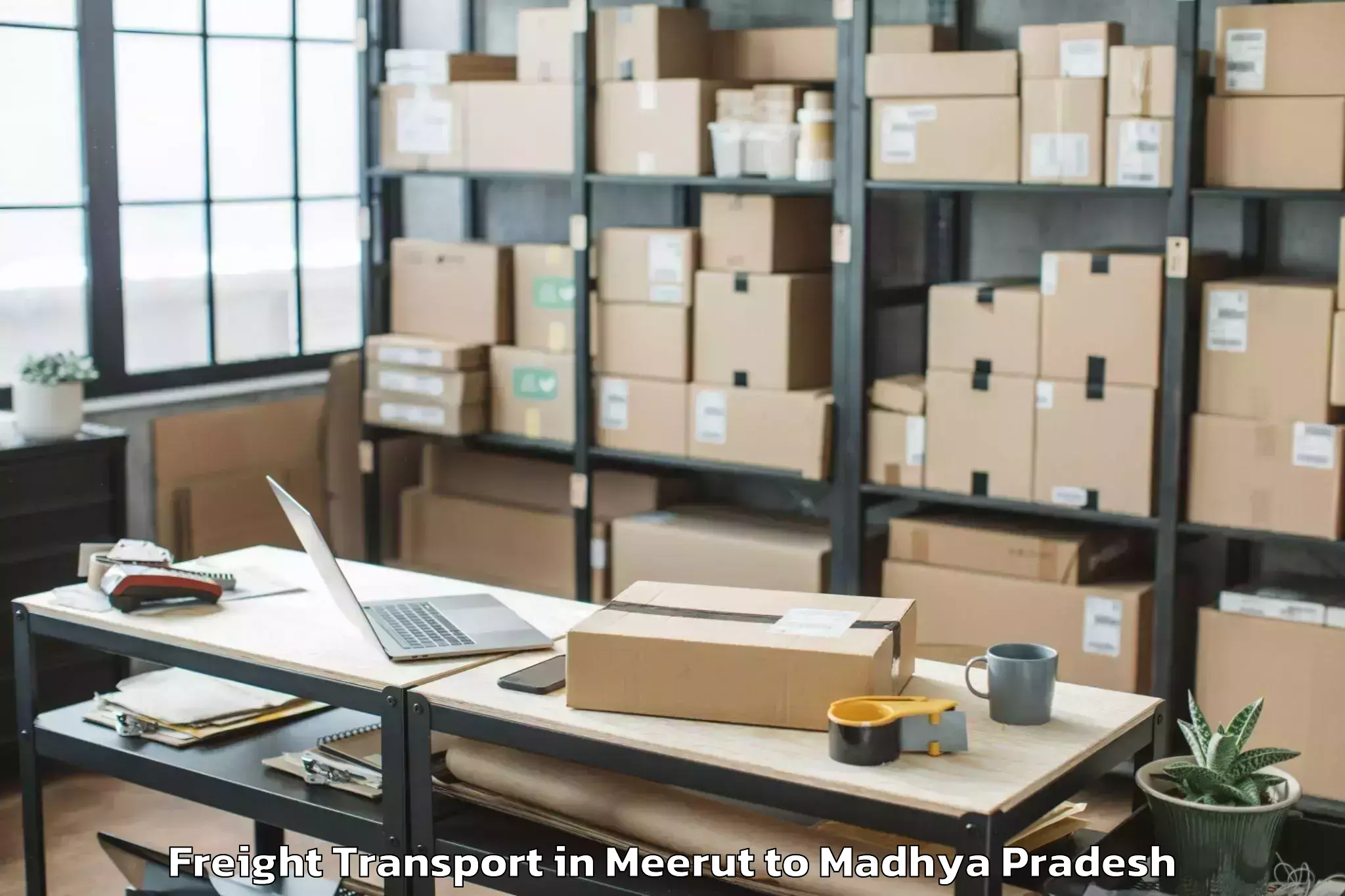 Reliable Meerut to Guna Airport Gux Freight Transport